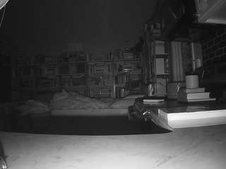 voyeurcam bridgetleewalters 02